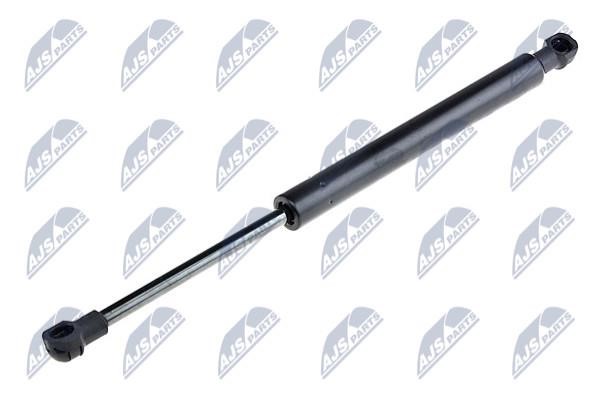 NTY AE-FR-020 Gas Spring, boot-/cargo area AEFR020: Buy near me in Poland at 2407.PL - Good price!