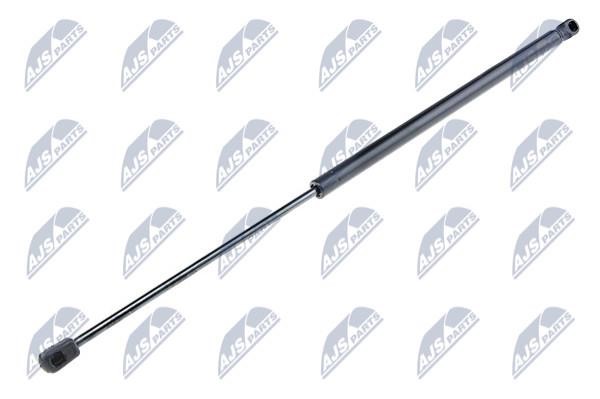 NTY AE-FR-022 Gas Spring, boot-/cargo area AEFR022: Buy near me in Poland at 2407.PL - Good price!