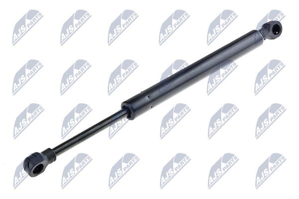 NTY AE-FR-024 Gas Spring, boot-/cargo area AEFR024: Buy near me in Poland at 2407.PL - Good price!