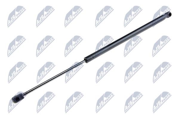 NTY AE-FR-025 Gas Spring, boot-/cargo area AEFR025: Buy near me in Poland at 2407.PL - Good price!