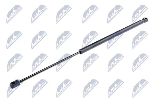 NTY AE-FR-029 Gas Spring, boot-/cargo area AEFR029: Buy near me in Poland at 2407.PL - Good price!
