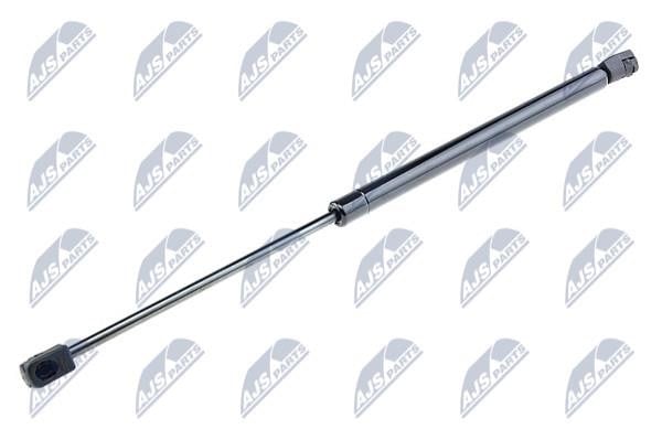NTY AE-FR-031 Spring gas rear window AEFR031: Buy near me in Poland at 2407.PL - Good price!