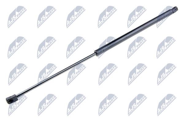 NTY AE-FR-032 Gas Spring, boot-/cargo area AEFR032: Buy near me in Poland at 2407.PL - Good price!
