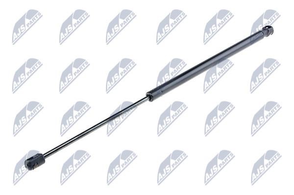 NTY AE-FR-036 Gas Spring, boot-/cargo area AEFR036: Buy near me in Poland at 2407.PL - Good price!