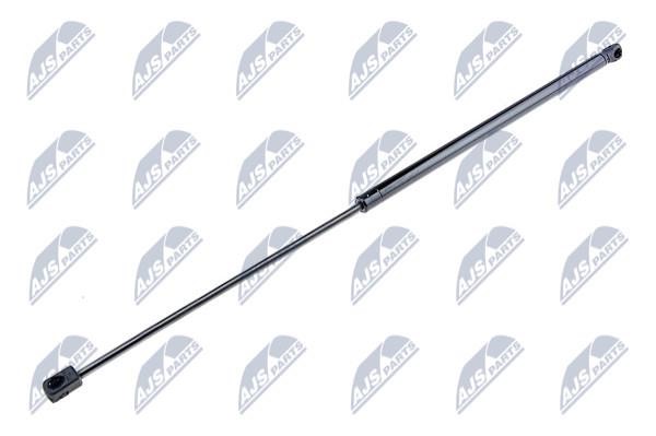 NTY AE-FR-038 Gas Spring, boot-/cargo area AEFR038: Buy near me at 2407.PL in Poland at an Affordable price!