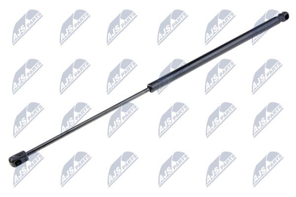 NTY AE-FR-039 Gas Spring, boot-/cargo area AEFR039: Buy near me in Poland at 2407.PL - Good price!