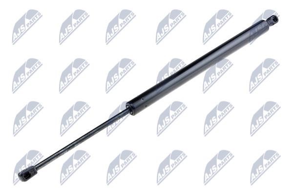 NTY AE-FR-042 Gas Spring, boot-/cargo area AEFR042: Buy near me in Poland at 2407.PL - Good price!