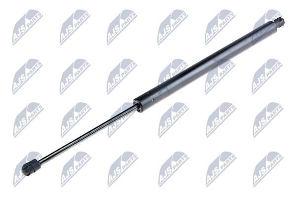NTY AE-FR-045 Gas Spring, boot-/cargo area AEFR045: Buy near me in Poland at 2407.PL - Good price!