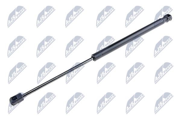 NTY AE-FT-000 Gas Spring, boot-/cargo area AEFT000: Buy near me in Poland at 2407.PL - Good price!