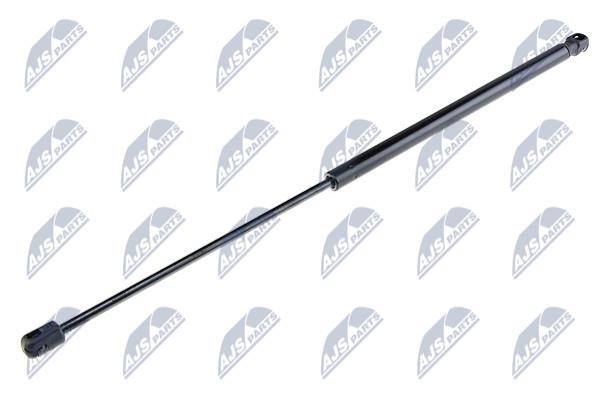 NTY AE-FT-001 Gas Spring, boot-/cargo area AEFT001: Buy near me in Poland at 2407.PL - Good price!