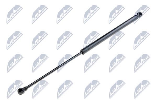 NTY AE-FT-005 Gas Spring, boot-/cargo area AEFT005: Buy near me in Poland at 2407.PL - Good price!
