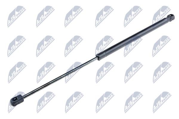NTY AE-FT-015 Gas Spring, boot-/cargo area AEFT015: Buy near me in Poland at 2407.PL - Good price!