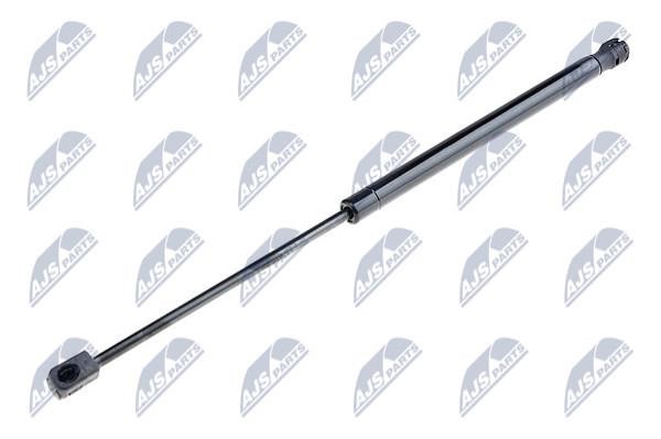 NTY AE-FT-017 Gas Spring, boot-/cargo area AEFT017: Buy near me in Poland at 2407.PL - Good price!