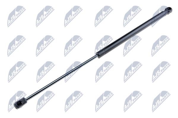 NTY AE-FT-018 Gas Spring, boot-/cargo area AEFT018: Buy near me in Poland at 2407.PL - Good price!