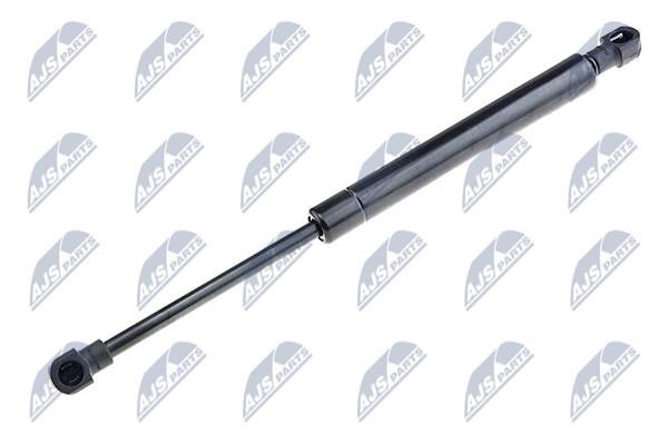 NTY AE-FT-023 Gas Spring, boot-/cargo area AEFT023: Buy near me in Poland at 2407.PL - Good price!