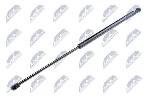 NTY AE-FT-029 Gas Spring, boot-/cargo area AEFT029: Buy near me in Poland at 2407.PL - Good price!