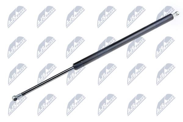 NTY AE-HD-005 Gas Spring, boot-/cargo area AEHD005: Buy near me in Poland at 2407.PL - Good price!