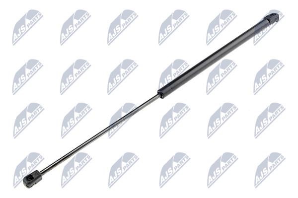 NTY AE-HY-005 Gas Spring, boot-/cargo area AEHY005: Buy near me in Poland at 2407.PL - Good price!