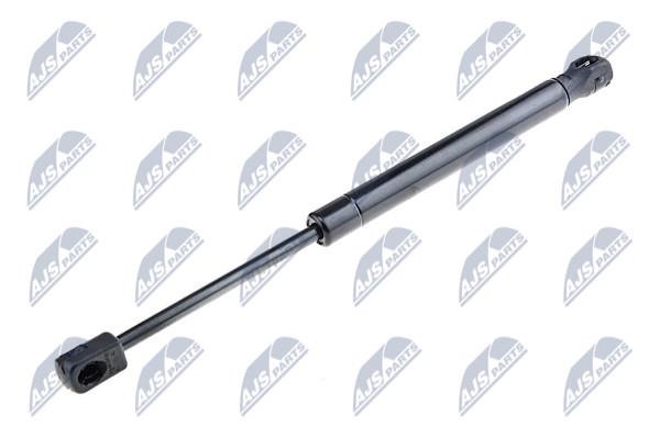 NTY AE-HY-025 Gas Spring, boot-/cargo area AEHY025: Buy near me in Poland at 2407.PL - Good price!