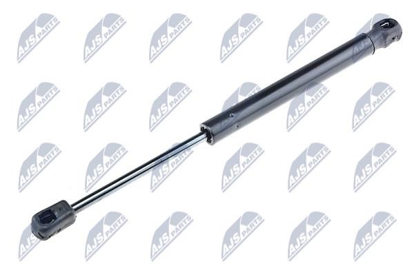 NTY AE-JR-001 Gas Spring, boot-/cargo area AEJR001: Buy near me in Poland at 2407.PL - Good price!