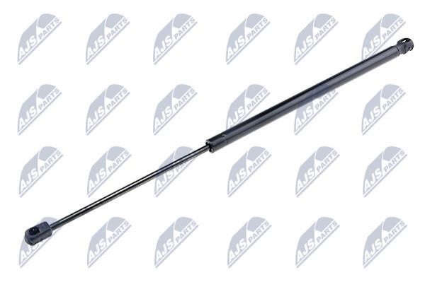 NTY AE-KA-001 Gas Spring, boot-/cargo area AEKA001: Buy near me in Poland at 2407.PL - Good price!