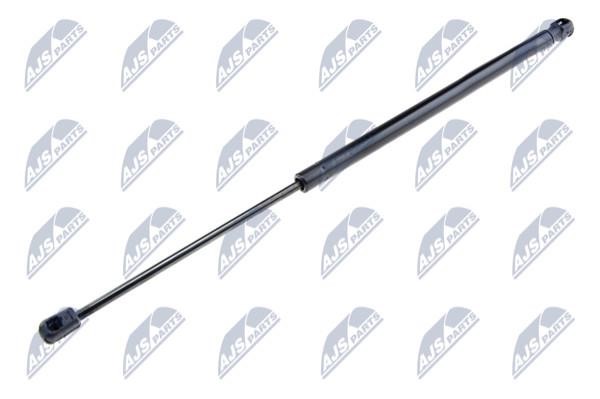NTY AE-KA-002 Gas Spring, boot-/cargo area AEKA002: Buy near me in Poland at 2407.PL - Good price!