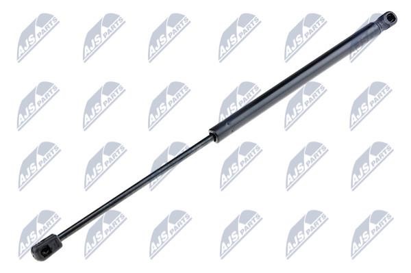 NTY AE-KA-005 Gas Spring, boot-/cargo area AEKA005: Buy near me in Poland at 2407.PL - Good price!