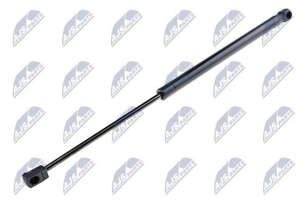 NTY AE-KA-006 Gas Spring, boot-/cargo area AEKA006: Buy near me in Poland at 2407.PL - Good price!