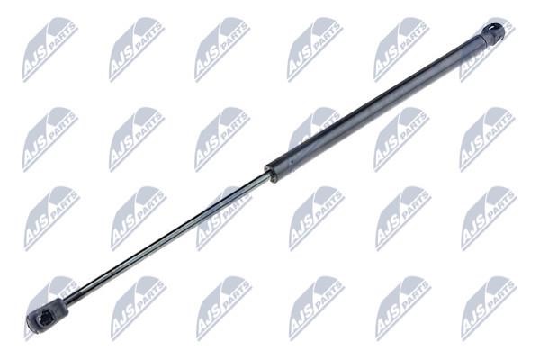 NTY AE-KA-009 Gas Spring, boot-/cargo area AEKA009: Buy near me in Poland at 2407.PL - Good price!