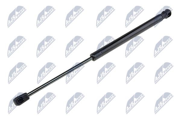 NTY AE-KA-016 Gas Spring, boot-/cargo area AEKA016: Buy near me in Poland at 2407.PL - Good price!
