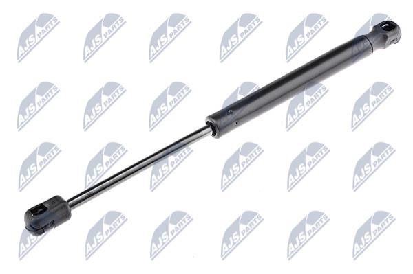 NTY AE-KA-017 Gas Spring, boot-/cargo area AEKA017: Buy near me in Poland at 2407.PL - Good price!
