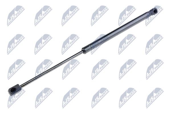 NTY AE-KA-019 Gas Spring, boot-/cargo area AEKA019: Buy near me in Poland at 2407.PL - Good price!