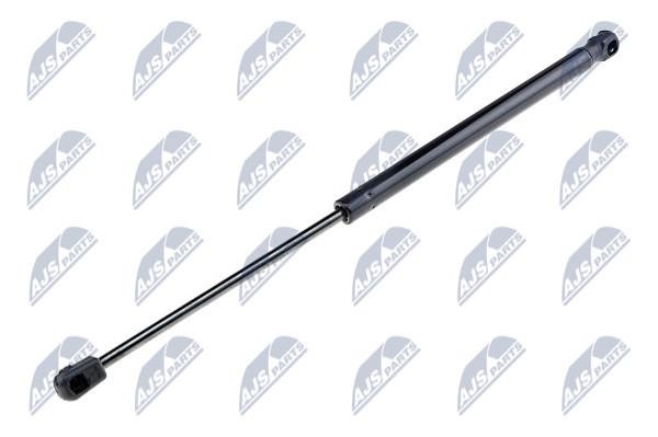 NTY AE-KA-020 Gas Spring, boot-/cargo area AEKA020: Buy near me in Poland at 2407.PL - Good price!