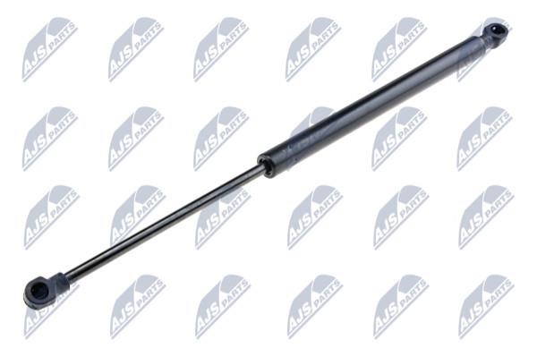 NTY AE-KA-021 Gas Spring, boot-/cargo area AEKA021: Buy near me in Poland at 2407.PL - Good price!