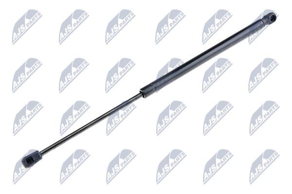 NTY AE-KA-022 Gas Spring, boot-/cargo area AEKA022: Buy near me in Poland at 2407.PL - Good price!