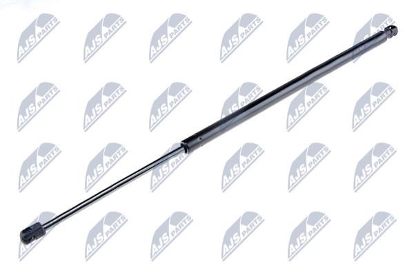 NTY AE-LR-012 Gas Spring, boot-/cargo area AELR012: Buy near me in Poland at 2407.PL - Good price!