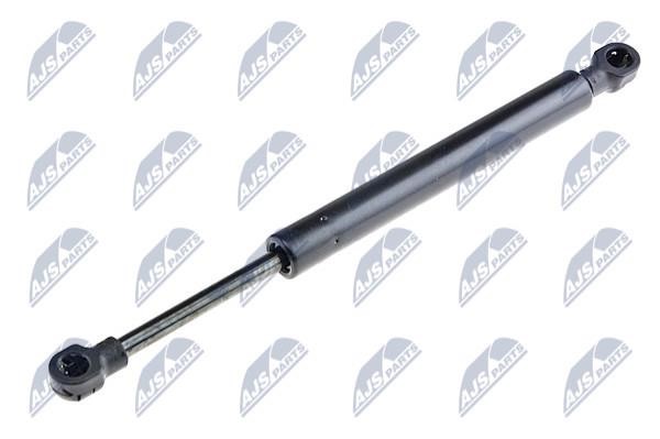 NTY AE-ME-024 Gas Spring, boot-/cargo area AEME024: Buy near me in Poland at 2407.PL - Good price!