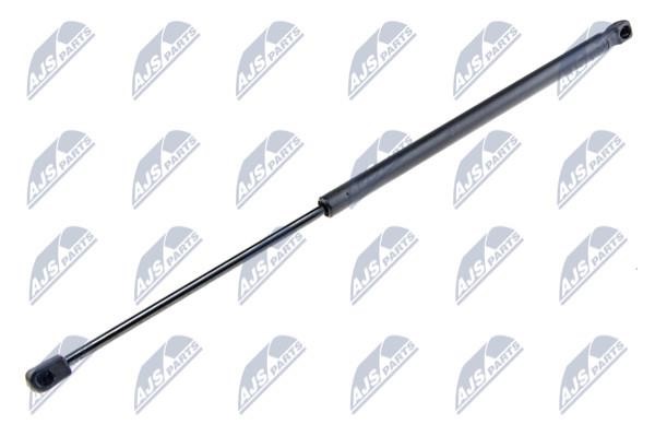 NTY AE-MS-002 Gas Spring, boot-/cargo area AEMS002: Buy near me in Poland at 2407.PL - Good price!
