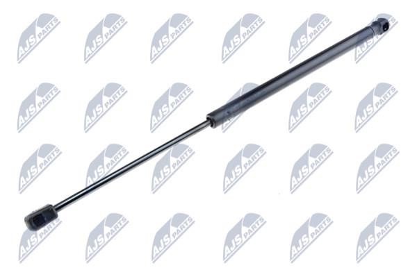 NTY AE-MS-003 Gas Spring, boot-/cargo area AEMS003: Buy near me in Poland at 2407.PL - Good price!