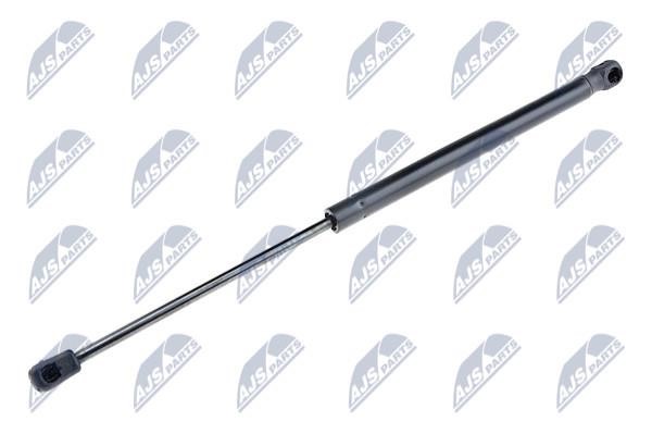 NTY AE-MS-006 Gas Spring, boot-/cargo area AEMS006: Buy near me in Poland at 2407.PL - Good price!