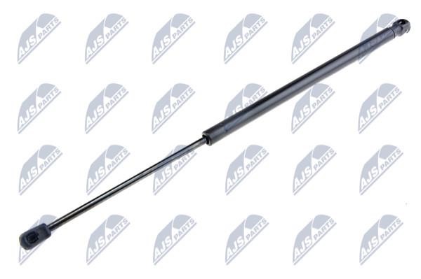 NTY AE-MZ-001 Gas Spring, boot-/cargo area AEMZ001: Buy near me in Poland at 2407.PL - Good price!