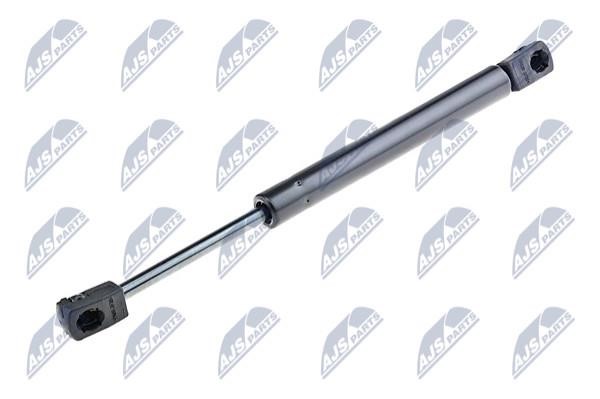 NTY AE-MZ-002 Gas Spring, boot-/cargo area AEMZ002: Buy near me in Poland at 2407.PL - Good price!