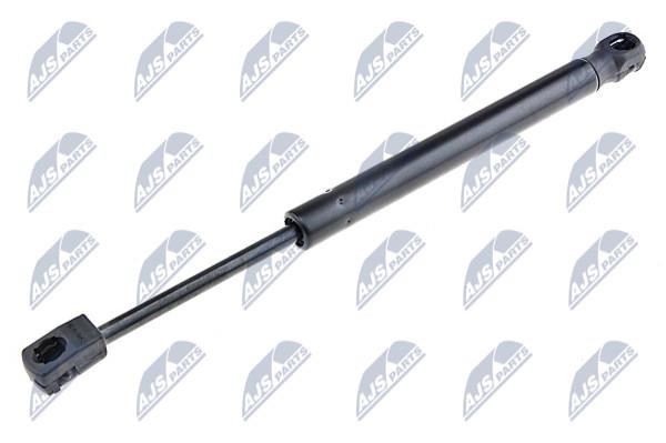 NTY AE-MZ-003 Gas Spring, boot-/cargo area AEMZ003: Buy near me in Poland at 2407.PL - Good price!