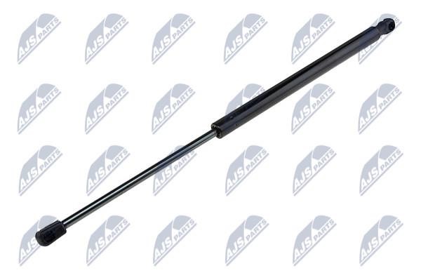 NTY AE-MZ-005 Gas Spring, boot-/cargo area AEMZ005: Buy near me in Poland at 2407.PL - Good price!