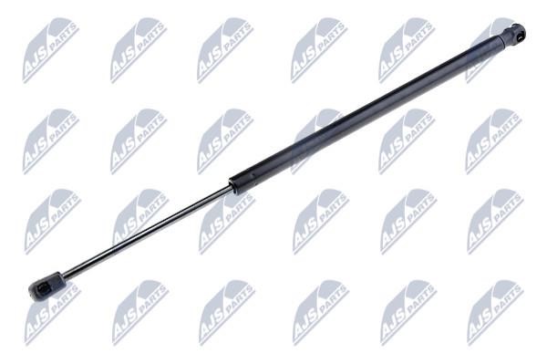 NTY AE-MZ-006 Gas Spring, boot-/cargo area AEMZ006: Buy near me in Poland at 2407.PL - Good price!