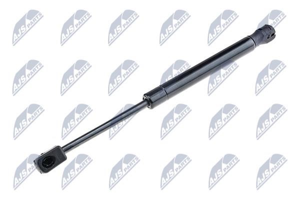 NTY AE-MZ-007 Gas Spring, boot-/cargo area AEMZ007: Buy near me in Poland at 2407.PL - Good price!