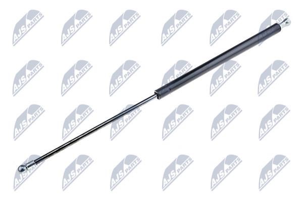 NTY AE-MZ-009 Gas Spring, boot-/cargo area AEMZ009: Buy near me in Poland at 2407.PL - Good price!