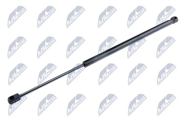NTY AE-NS-001 Gas Spring, boot-/cargo area AENS001: Buy near me in Poland at 2407.PL - Good price!