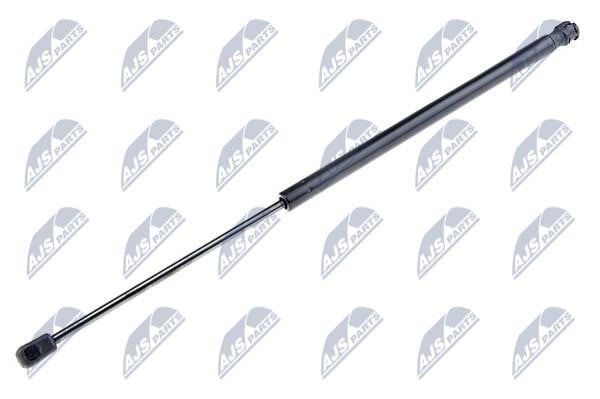 NTY AE-NS-003 Gas Spring, boot-/cargo area AENS003: Buy near me in Poland at 2407.PL - Good price!
