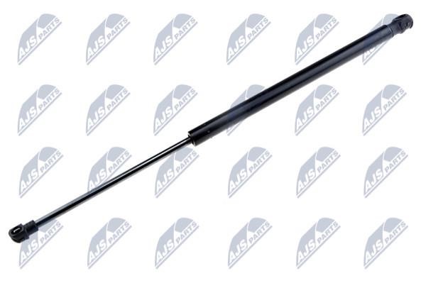NTY AE-NS-005 Gas Spring, boot-/cargo area AENS005: Buy near me in Poland at 2407.PL - Good price!